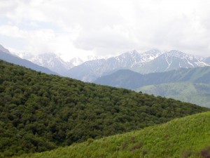 Tien Shan Mountains all around us 